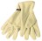 rukavice JN Microfleece Gloves_1