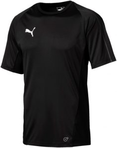 Sportovní triko Puma FINAL Training Jersey