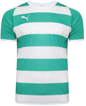 Pánský fotbalový dres Puma Liga Jersey Hooped