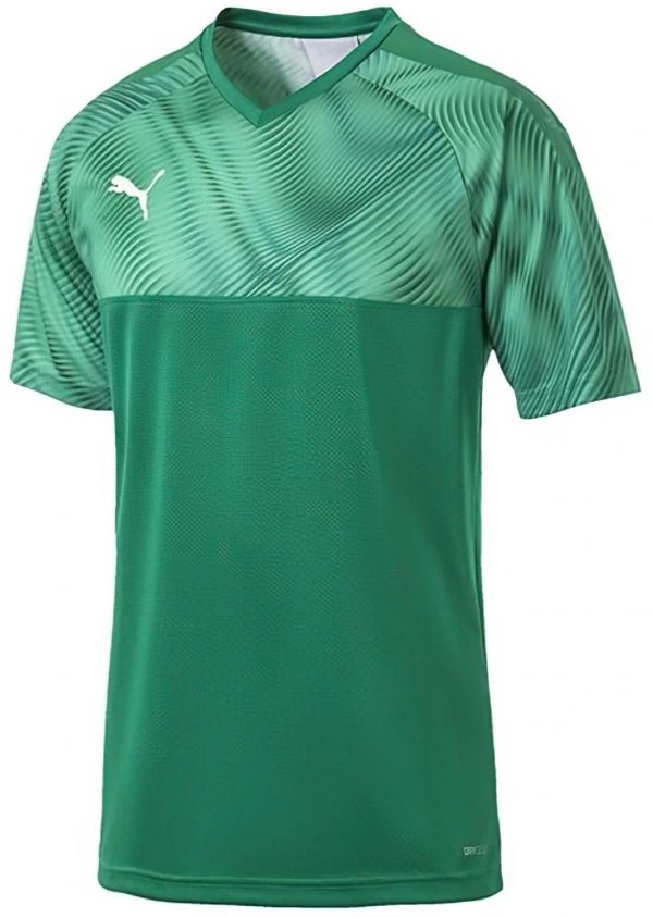Pánský fotbalový dres Puma Cup Jersey
