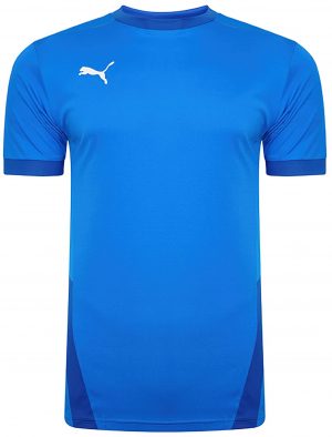 Pánský fotbalový dres Puma Goal Jersey
