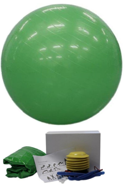 Gymnastický míč 65cm s pumpičkou, K Sporting