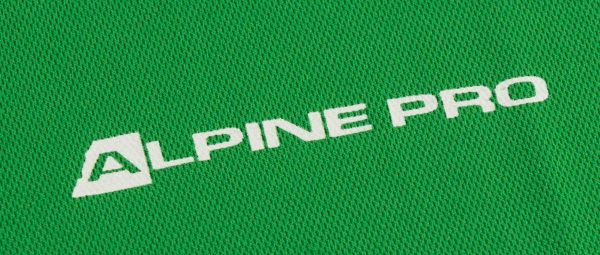 Pánské triko Alpine Pro Ohvice