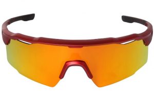 Sluneční brýle Alpine Pro Gaude