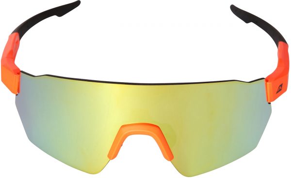 Sluneční brýle Alpine Pro Rodene