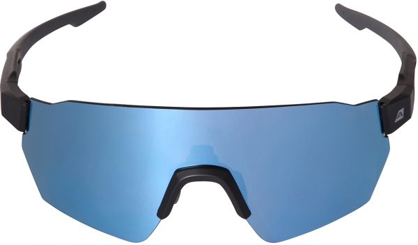 Sluneční brýle Alpine Pro Rodene