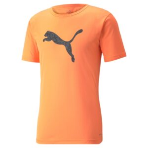 Pánské triko PUMA individualRISE Logo Tee